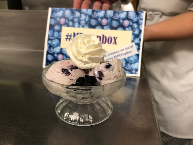 Blueberry Frozen Yogurt